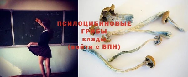 твердый Переславль-Залесский