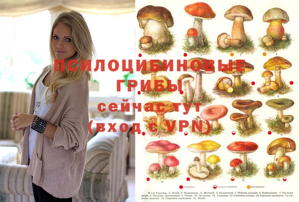 твердый Переславль-Залесский